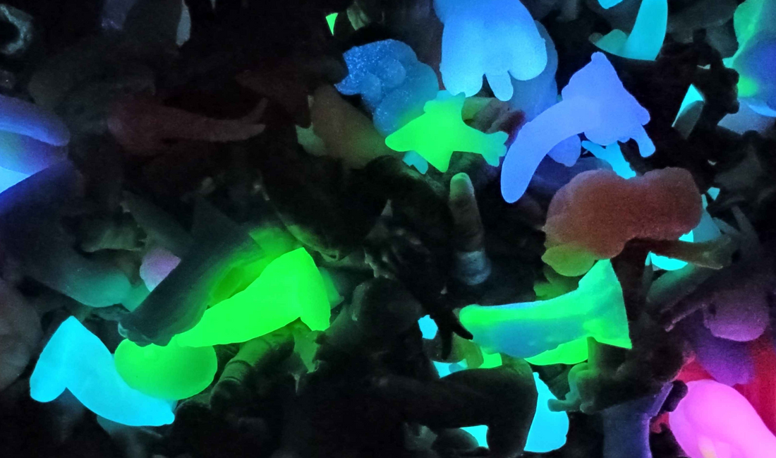 Toy Types and Their Intended Uses