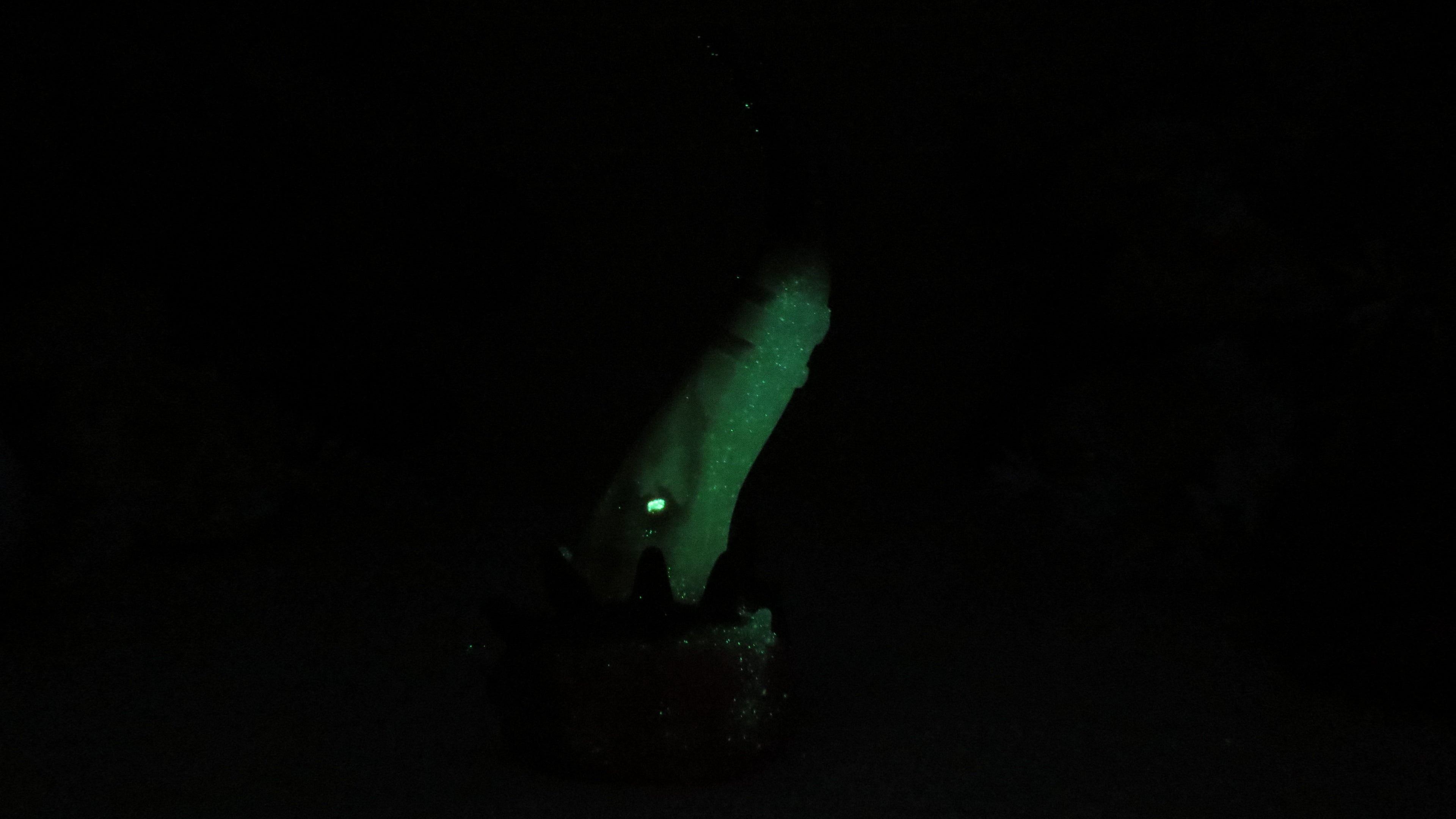 Flop! Venus - Squish size, Medium (00-50) #110