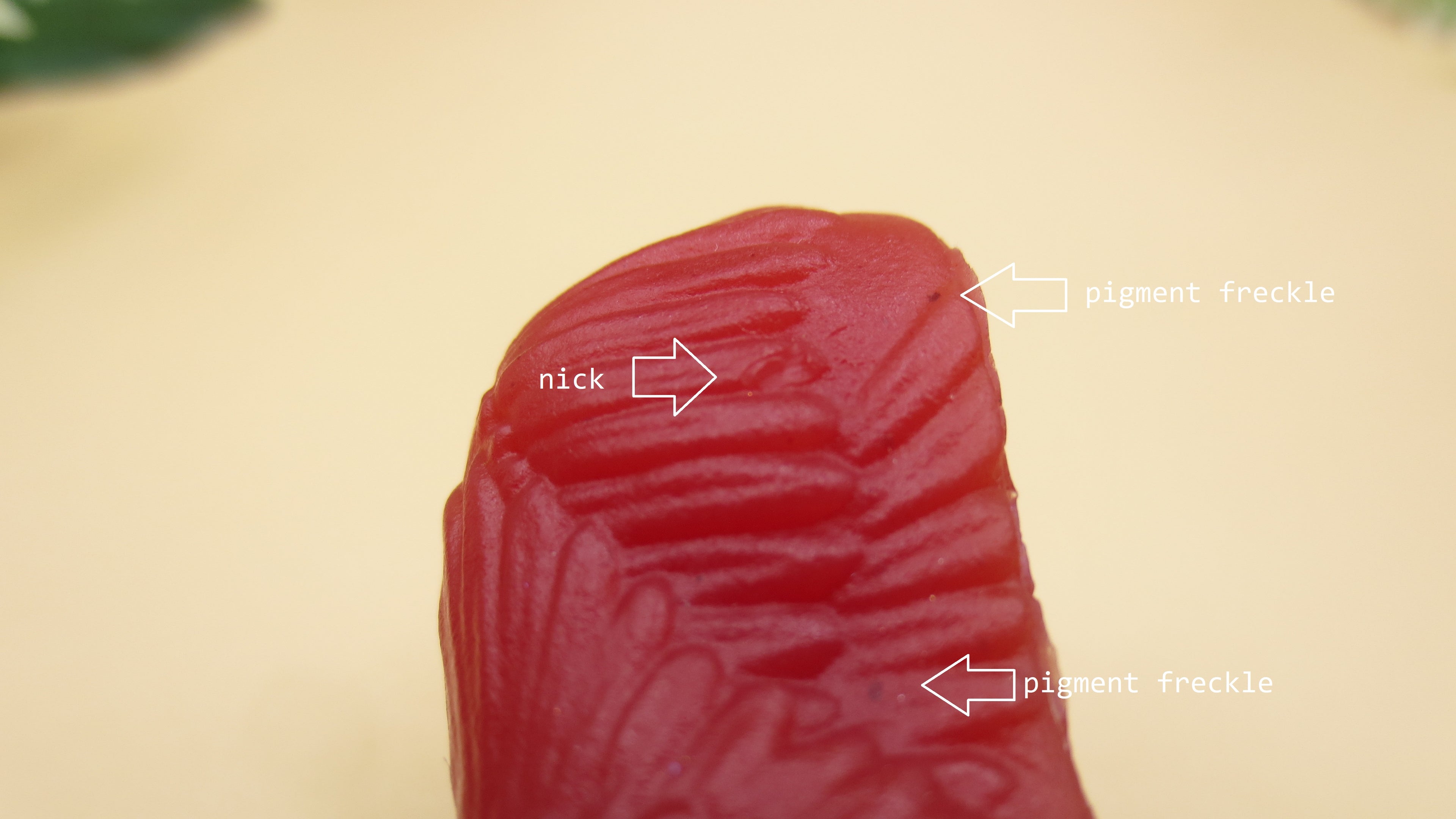 Flop! Cupid - Squish size, Firm (10A) #043