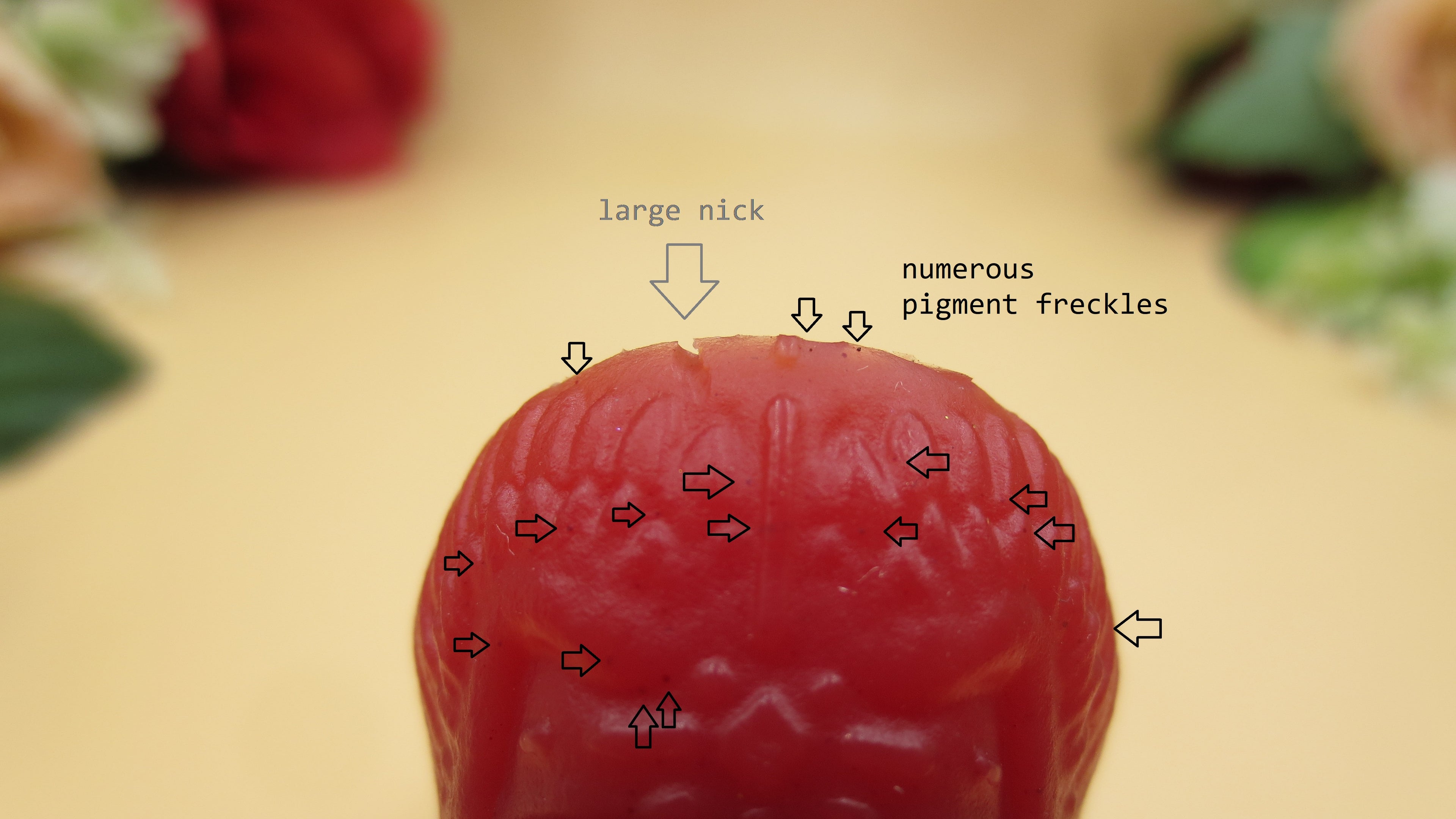 Flop! Cupid - Squish size, Firm (10A) #043