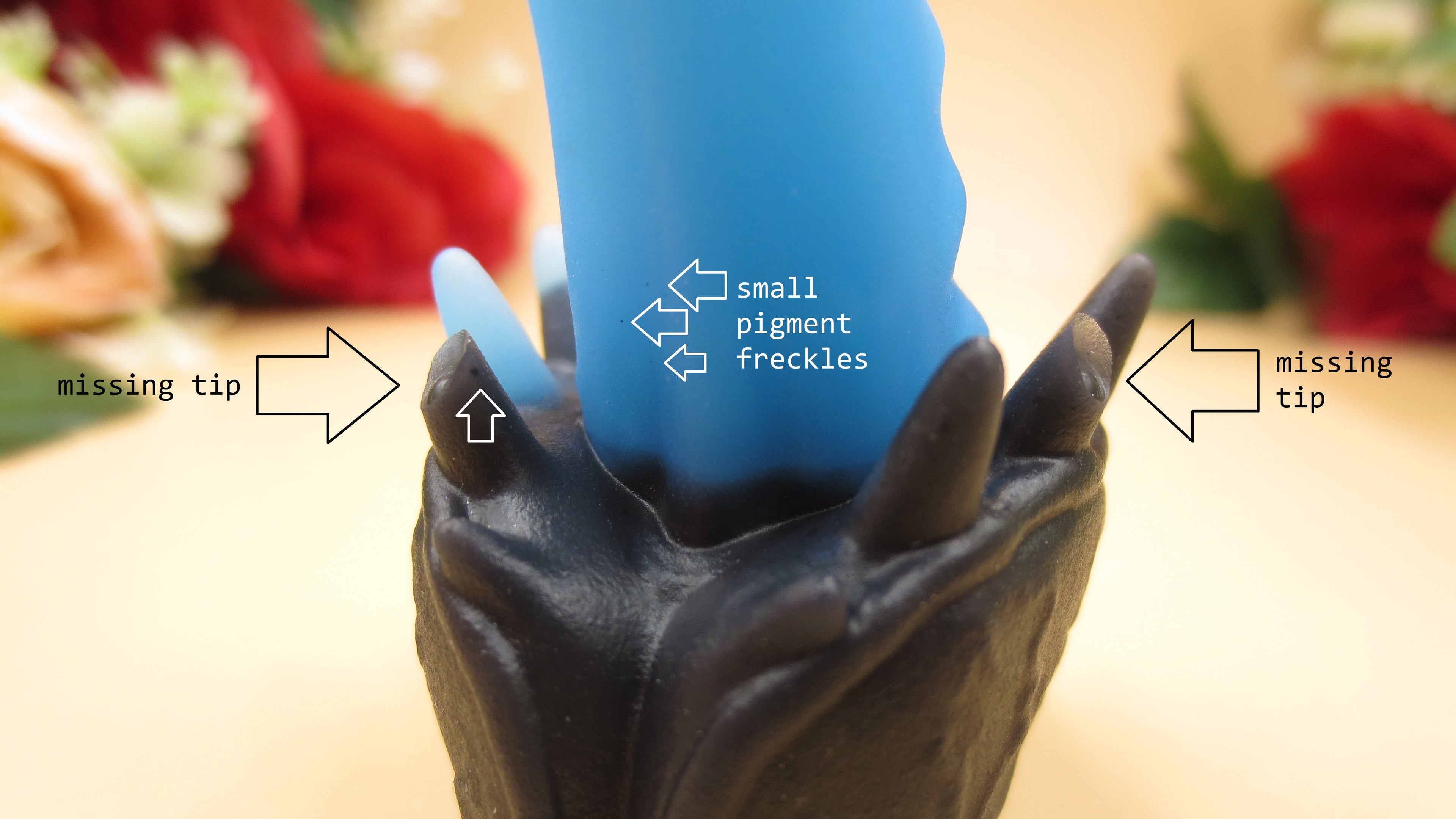 SUPERFLOP! Venus - Squish size, Firm (10A) #047