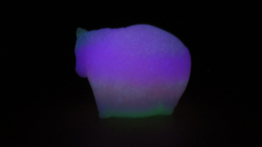 Flop! Fat Little Horse - Medium (00-50) #005