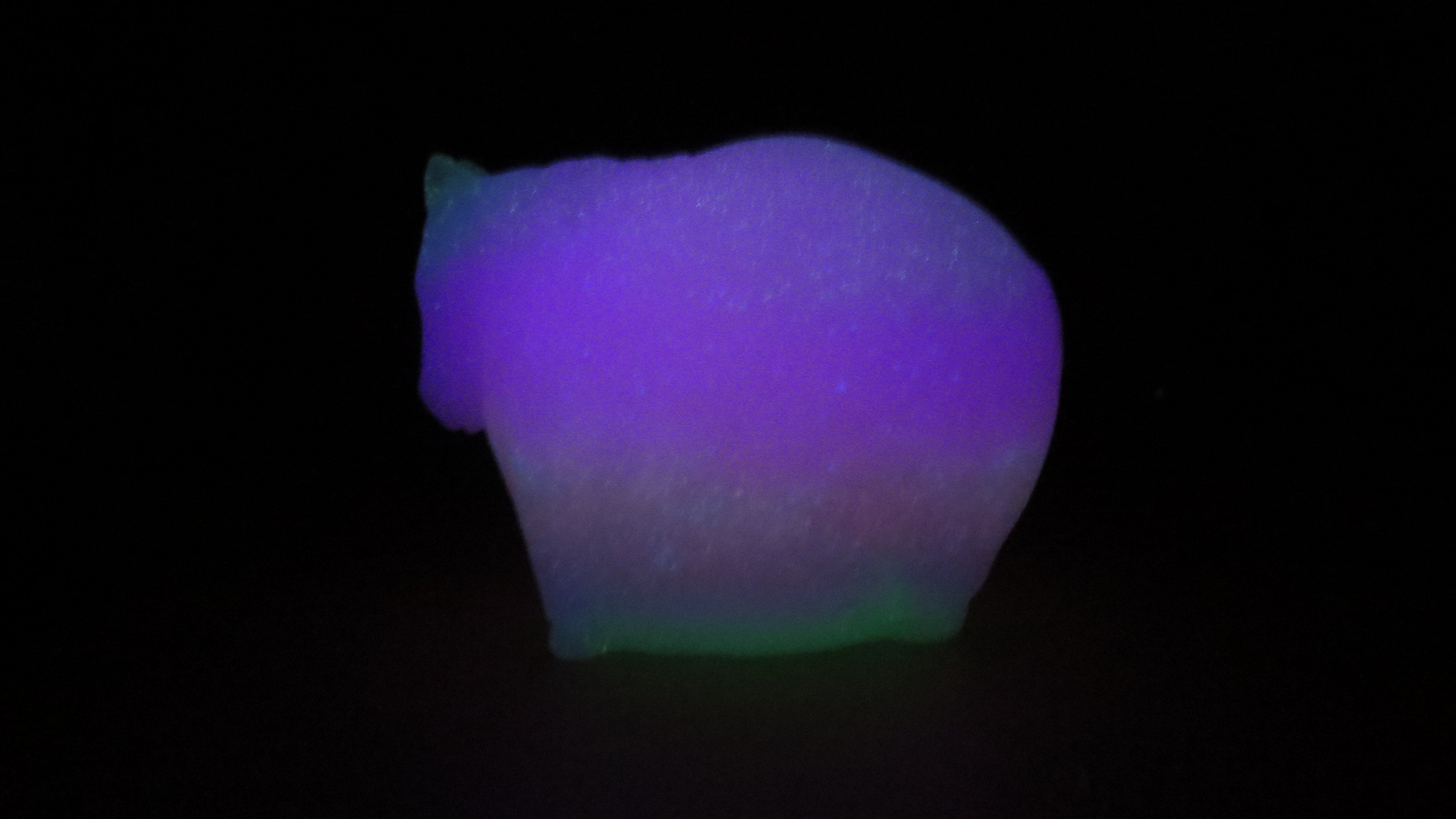 Flop! Fat Little Horse - Medium (00-50) #005