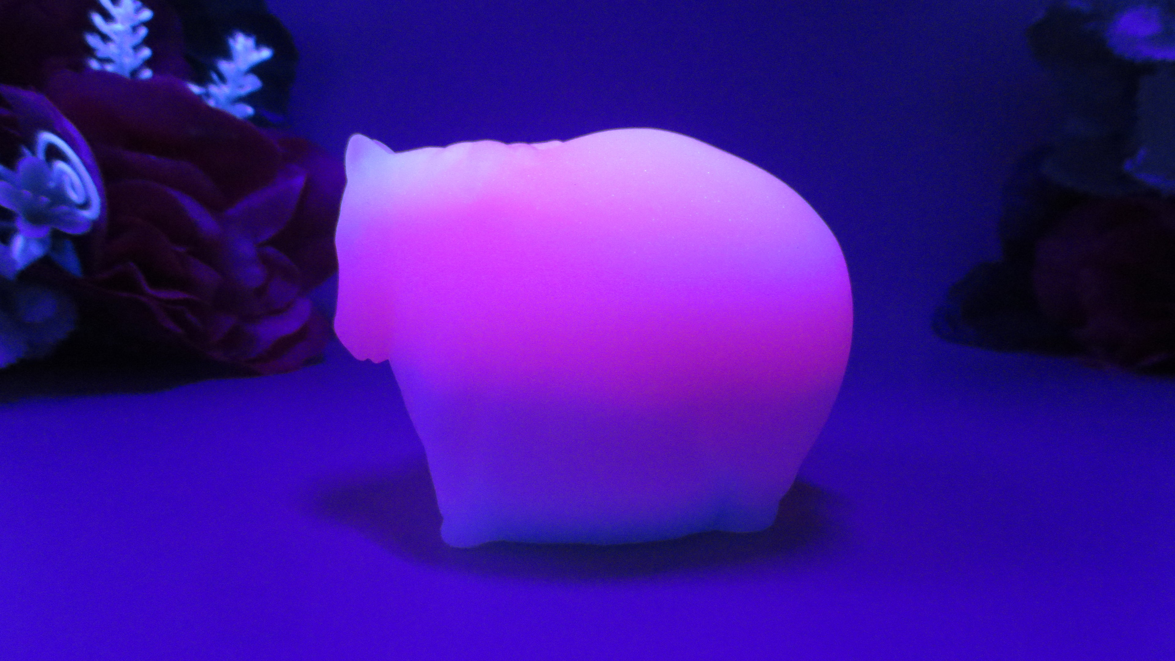 Flop! Fat Little Horse - Medium (00-50) #005