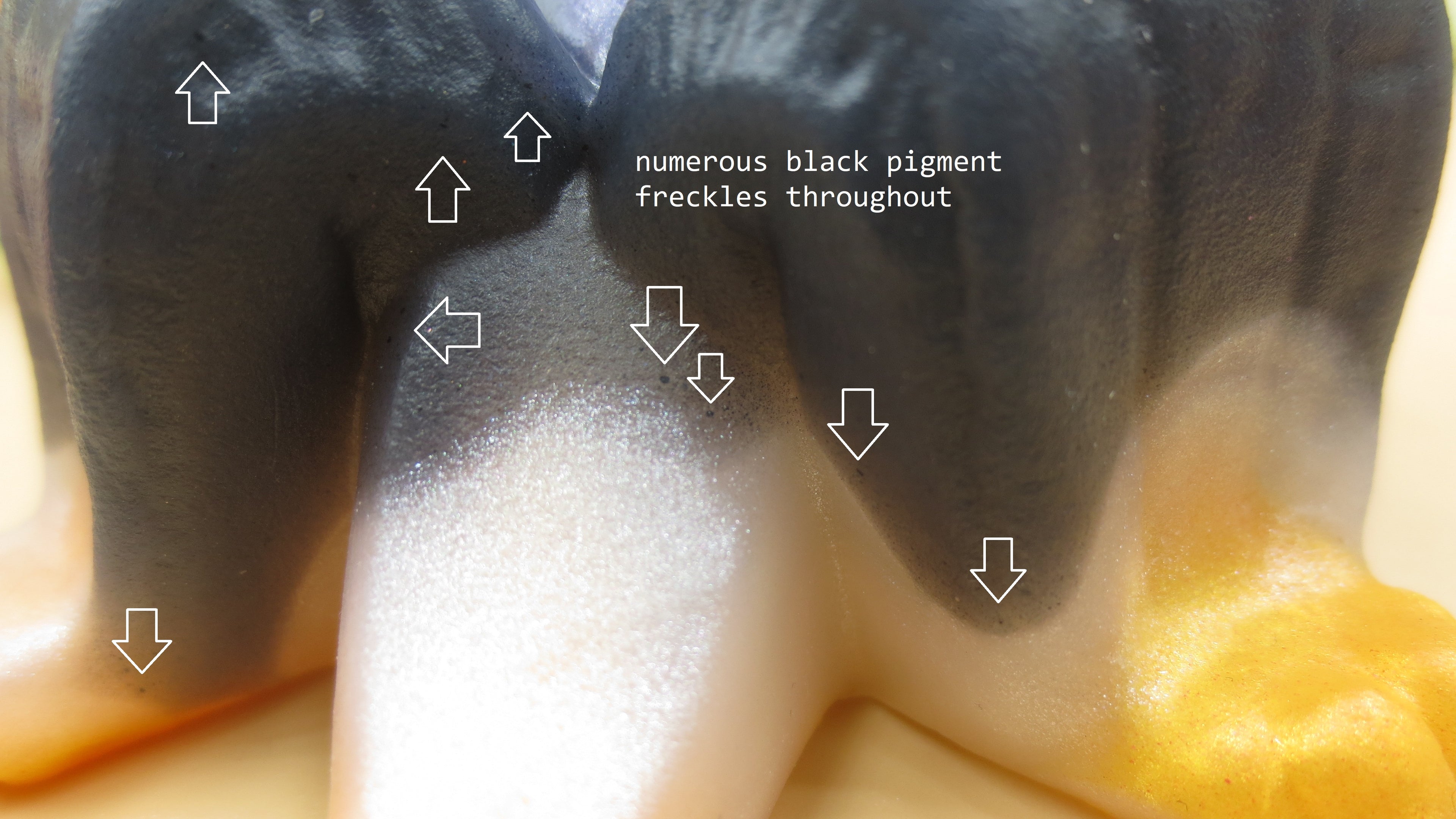 Flop! Sexapeel - Mini size, Medium (00-50) #076