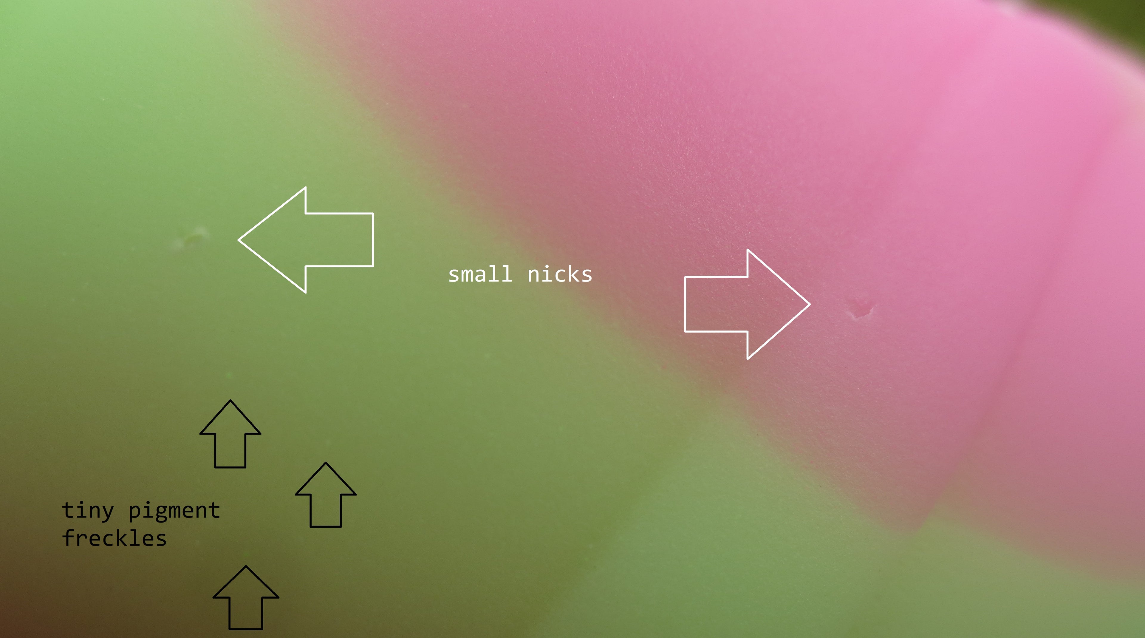 Flop! Eglok - Fullsize, Supersoft (00-20) #086