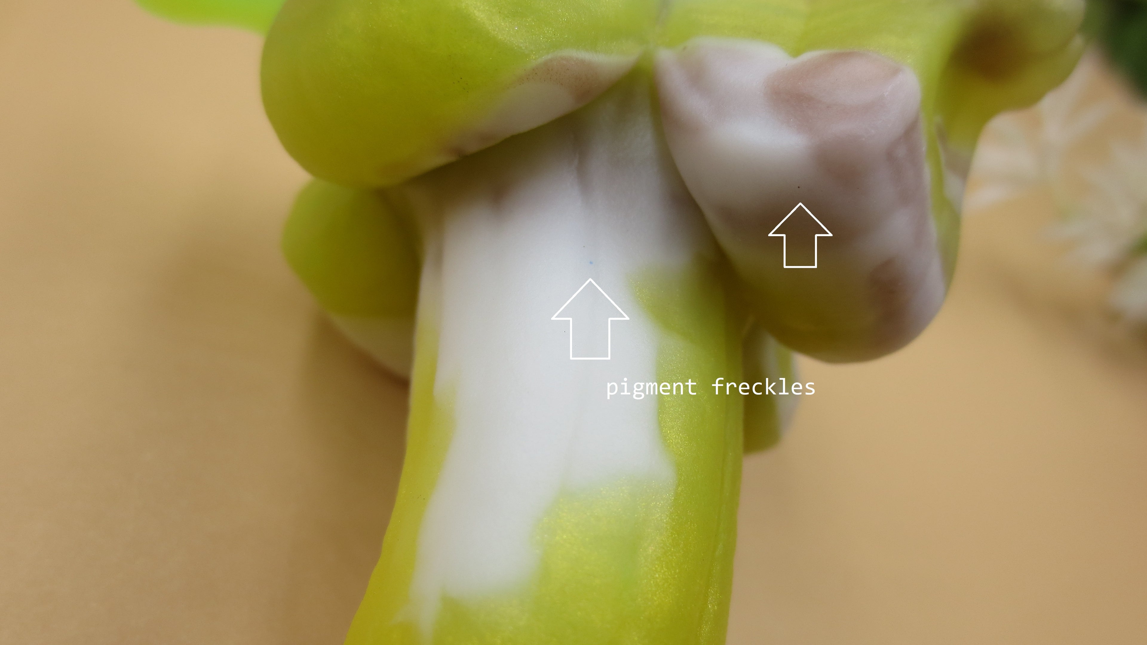 Flop! Sexapeel - Squish size, Medium (00-50) #088